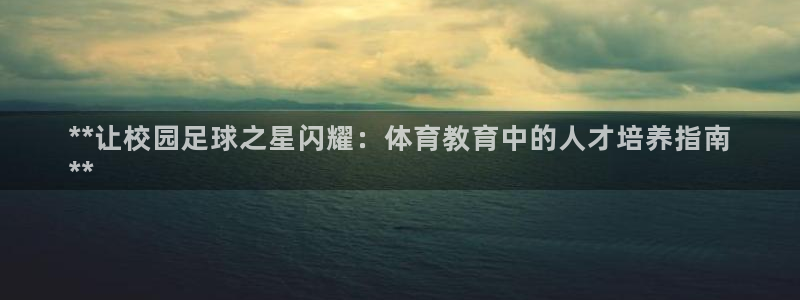 极悦平台平台注册方法与步骤是什么：**让校园足球之星闪耀：体