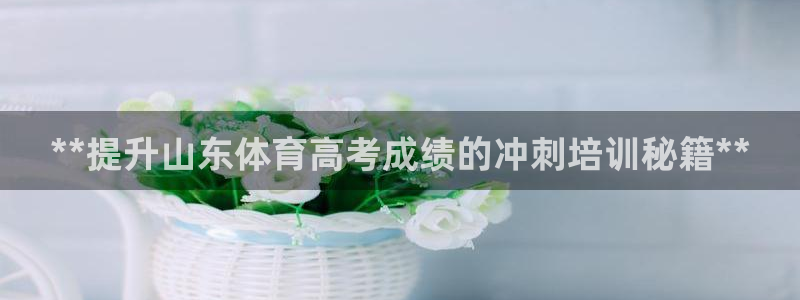 极悦娱乐股东：**提升山东体育高考成绩的冲刺培训秘籍**