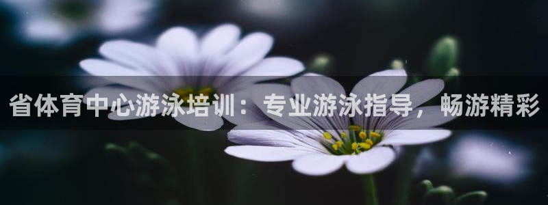 极悦娱乐股东：省体育中心游泳培训：专业游泳指导，畅游