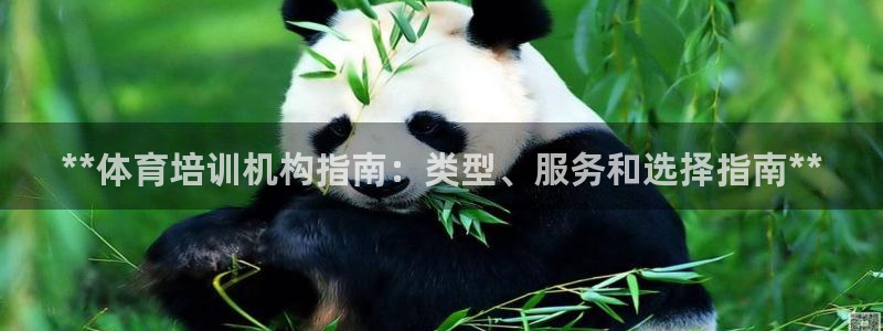 极悦平台官方网站下载安装：**体育培训机构指南：类型