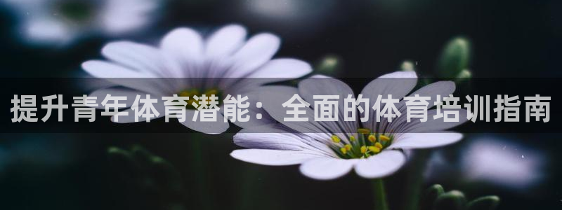 极悦娱乐官网app下载苹果版：提升青年体育潜能：全面