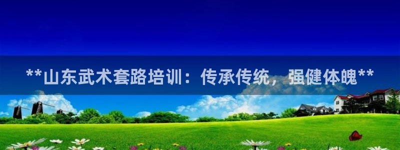 极悦平台是干嘛的啊：**山东武术套路培训：传承传统，