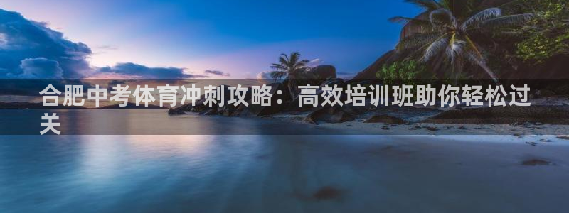 极悦平台注册流程视频：合肥中考体育冲刺攻略：高效培训
