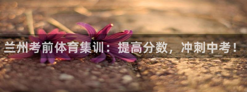 极悦平台用户评价与反馈怎么设置：兰州考前体育集训：提
