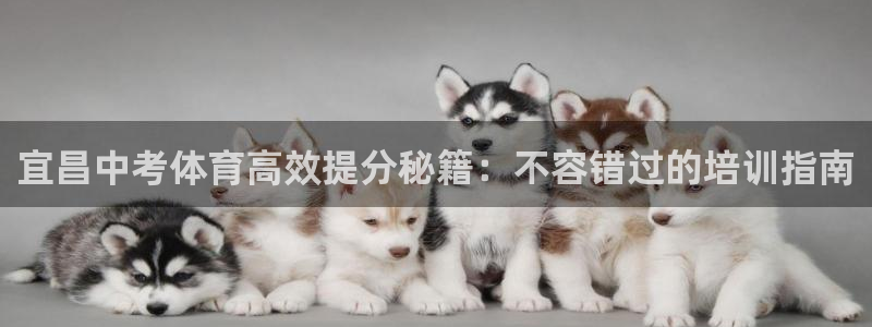 极悦娱乐公司最新招聘信息：宜昌中考体育高效提分秘籍：