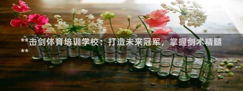 极悦平台使用教程视频：**击剑体育培训学校：打造未来