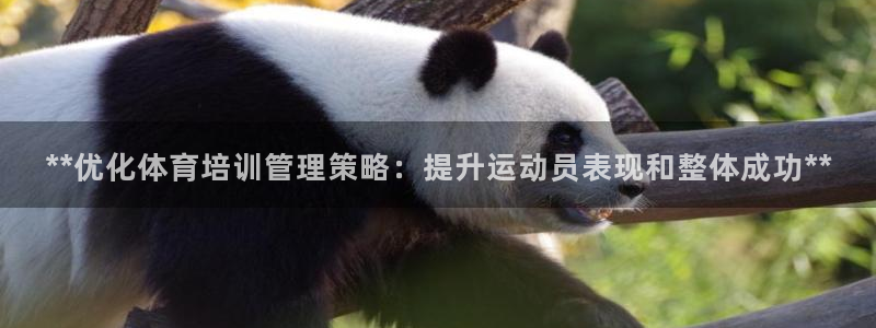 极悦娱乐负责人是谁：**优化体育培训管理策略：提升运