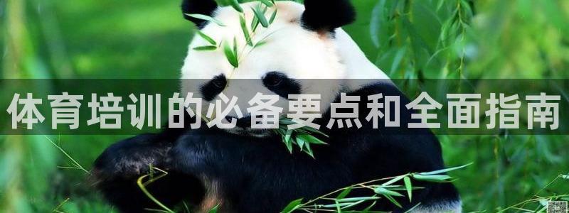 极悦平台代理怎么做的：体育培训的必备要点和全面指南