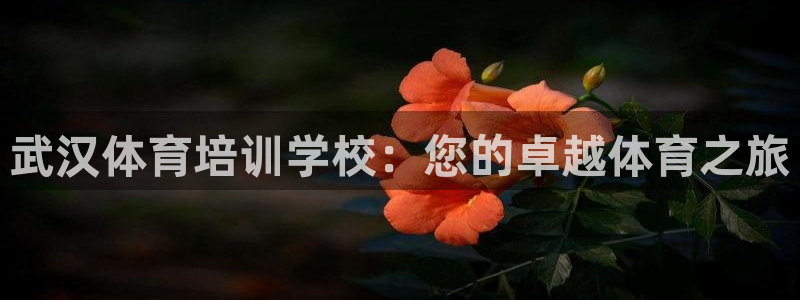 极悦平台客服的联系方式是：武汉体育培训学校：您的卓越