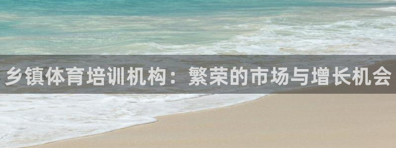 极悦平台官网入口下载：乡镇体育培训机构：繁荣的市场与增长机会