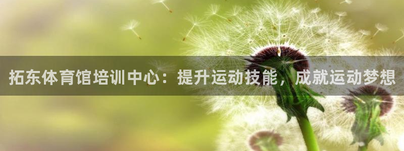 极悦平台注册官方网站下载安装手机版：拓东体育馆培训中心：提升
