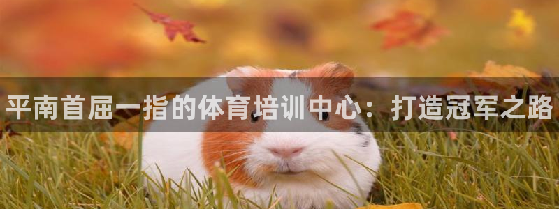 极悦平台的注册流程及注意事项有哪些：平南首屈一指的体育培训中