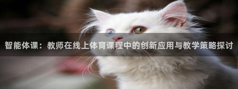 极悦平台和蓝狮平台区别在哪