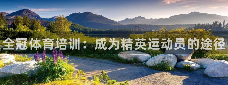 极悦平台客服的联系方式