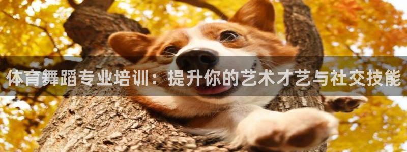 极悦官网登录入口网址：体育舞蹈专业培训：提升你的艺术才艺与社