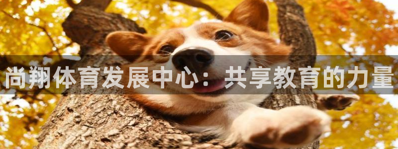 极悦官网注册最新版本更新内容在哪：尚翔体育发展中心：共享教育