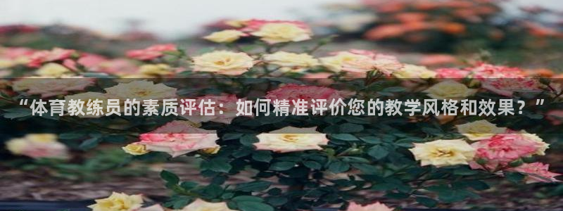 极悦娱乐的背景和历史背景是什么：“体育教练员的素质评估：如何