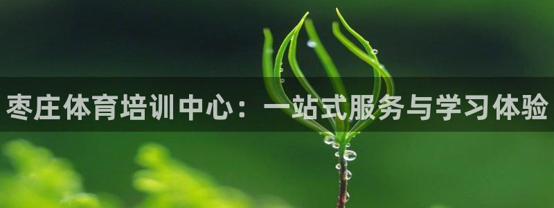 极悦官网注册最新版本更新内容在哪