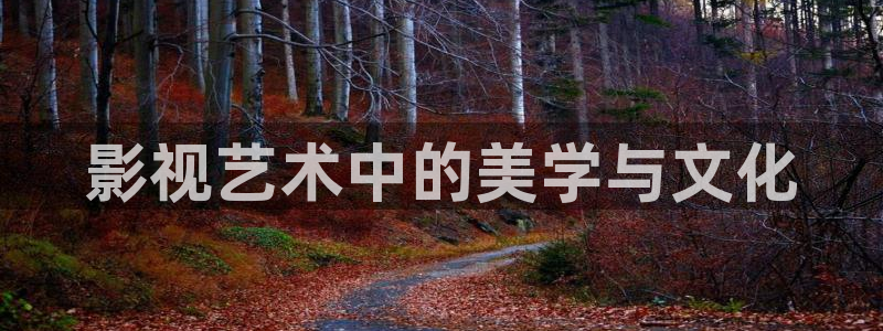 我不卡电影在线：影视艺术中的美学与文化