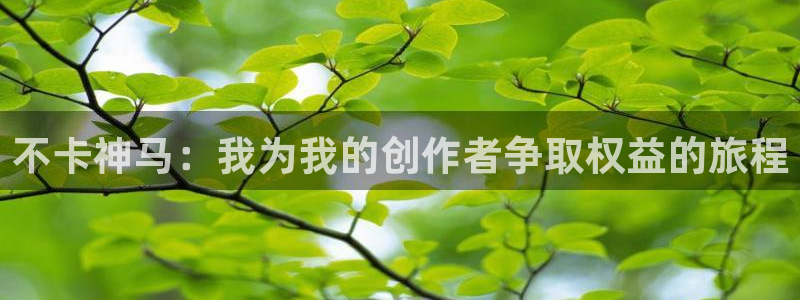 我不卡电影神马：不卡神马：我为我的创作者争取权益的旅程