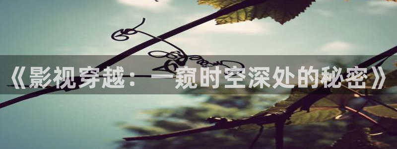 神马电影我不卡电影院八戒午夜：《影视穿越：一窥时空深处的秘密》