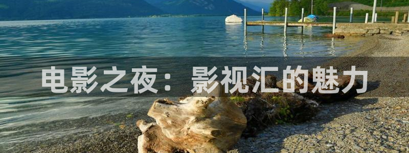 神马影院我不卡电影手机版：电影之夜：影视汇的魅力