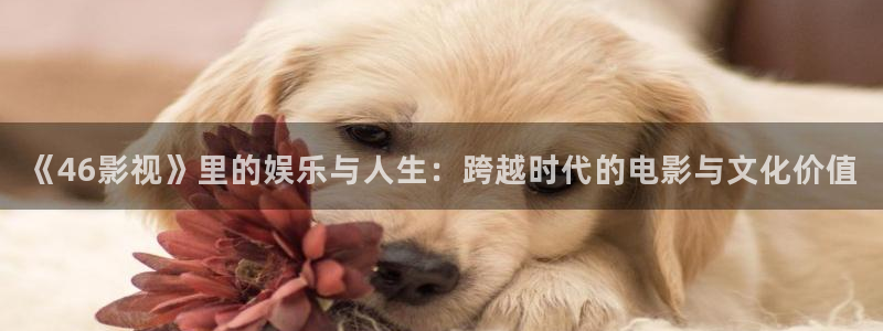 神马我不卡电影院手机在线观看：《46影视》里的娱乐与人生：跨越时代的电影与文化价值