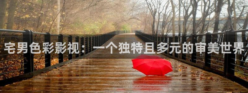神马午夜我不卡电影：宅男色彩影视：一个独特且多元的审美世界