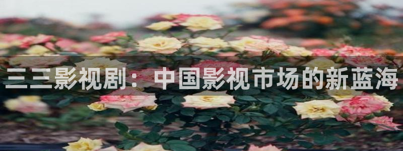 神马影院我不卡电影在线观看：三三影视剧：中国影视市场的新蓝海