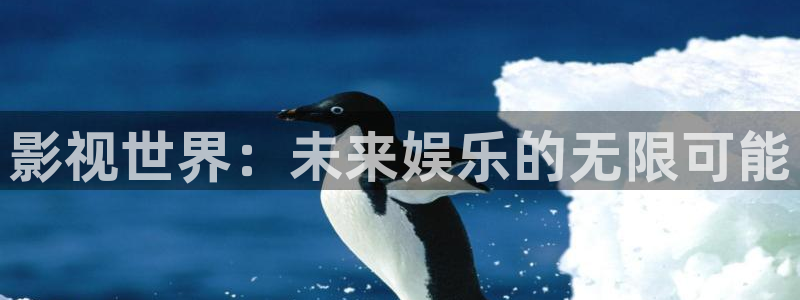神马电影我不卡电影院：影视世界：未来娱乐的无限可能