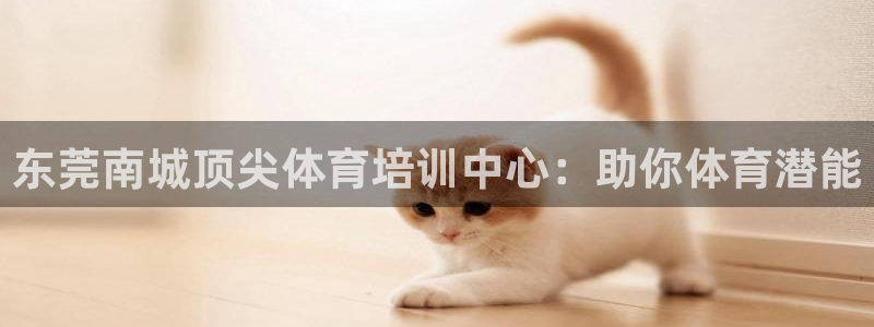 极悦平台注册官方网站下载安装：东莞南城顶尖体育培训中