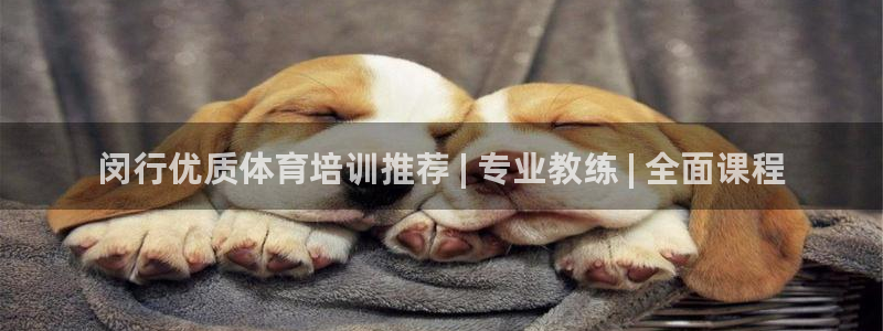 极悦平台官方网站登录入口：闵行优质体育培训推荐 | 