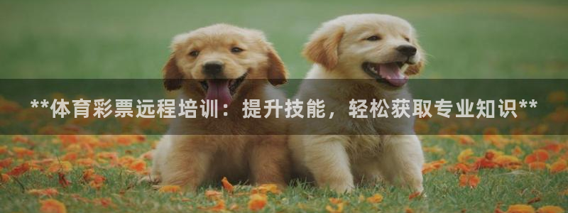 极悦平台官网入口登录：**体育彩票远程培训：提升技能