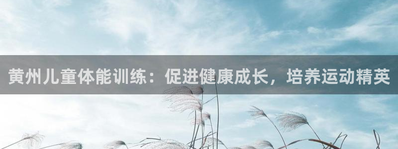 极悦娱乐代理怎么样：黄州儿童体能训练：促进健康成长，