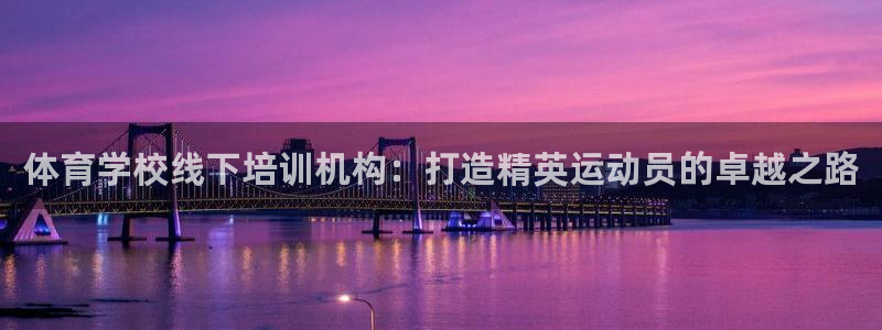 极悦平台注册失败如何解决问题：体育学校线下培训机构：