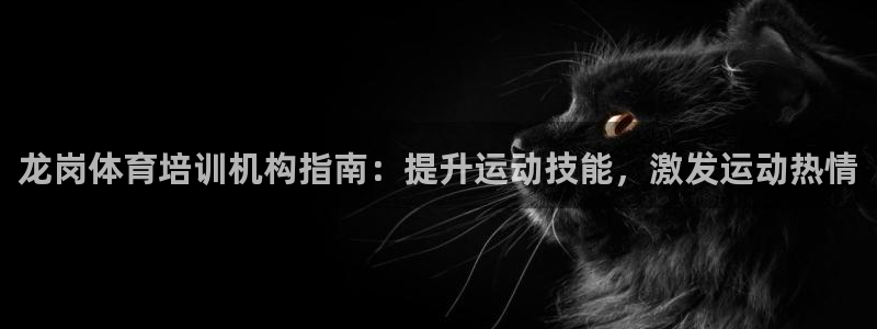 极悦平台注册官方网站下载安装苹果：龙岗体育培训机构指