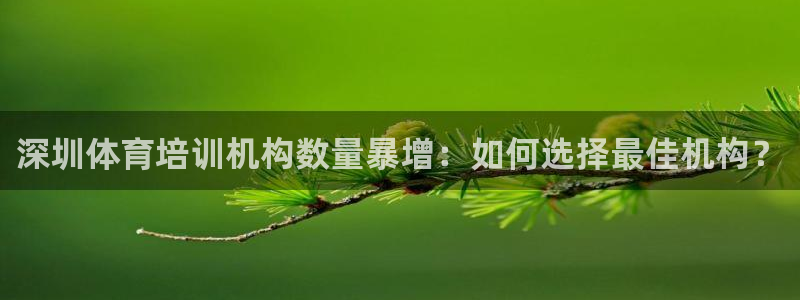 极悦娱乐贴吧：深圳体育培训机构数量暴增：如何选择最佳