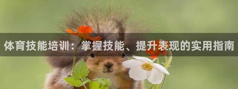 极悦平台注册用户名验证：体育技能培训：掌握技能、提升