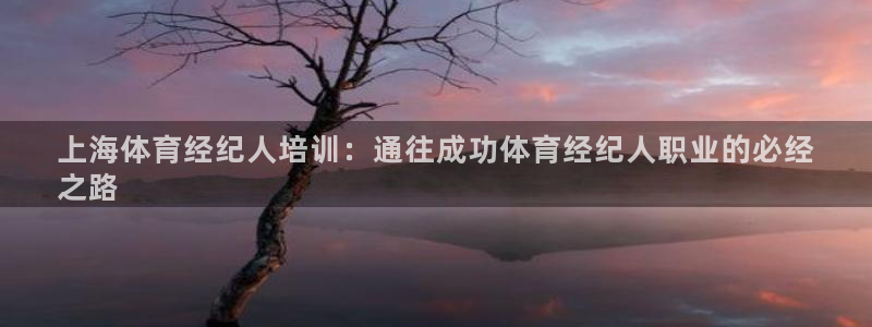 极悦娱乐官网最新版本更新内容是什么：上海体育经纪人培