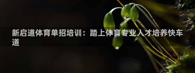 极悦平台app二维码怎么弄的：新启道体育单招培训：踏