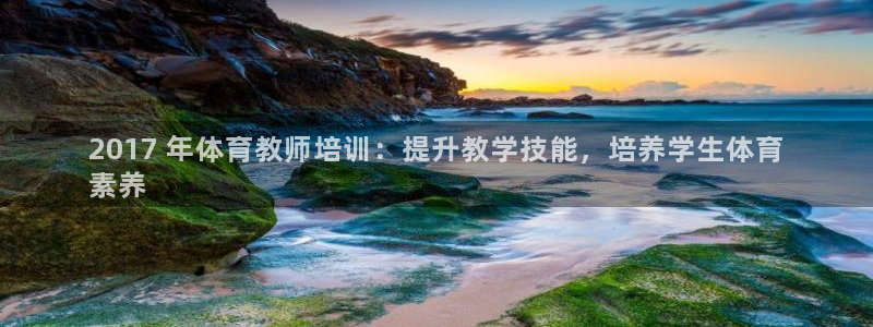 极悦娱乐贴吧官网：2017 年体育教师培训：提升教学