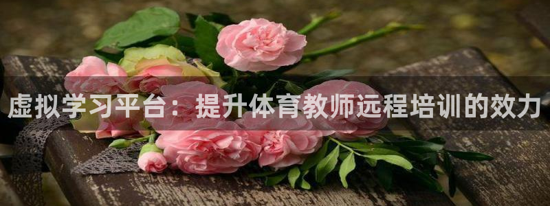 极悦平台注册官网网址：虚拟学习平台：提升体育教师远程