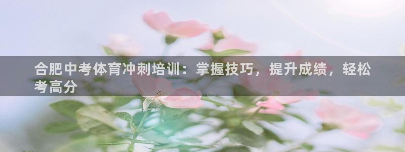 极悦平台和蓝狮平台区别大吗：合肥中考体育冲刺培训：掌