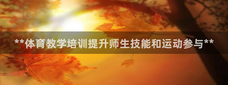 极悦娱乐的内部员工福利：**体育教学培训提升师生技能