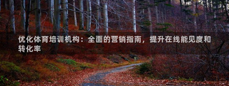 极悦平台客服团队怎么样：优化体育培训机构：全面的营销