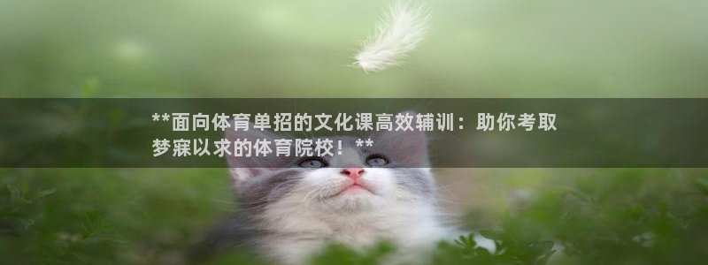 极悦平台官方网站首页：**面向体育单招的文化课高效辅