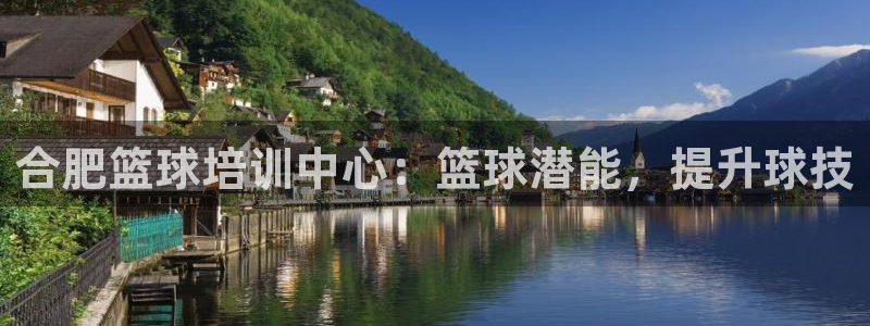 极悦平台官网登录入口网址是什么：合肥篮球培训中心：篮