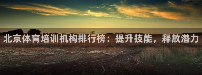 极悦平台官网登录不了怎么办：北京体育培训机构排行榜：