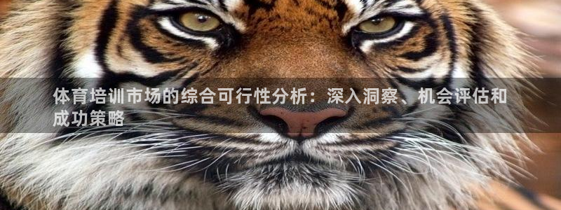 极悦平台代理怎么赚钱：体育培训市场的综合可行性分析：