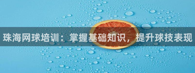 极悦官网的登录方法：珠海网球培训：掌握基础知识，提升